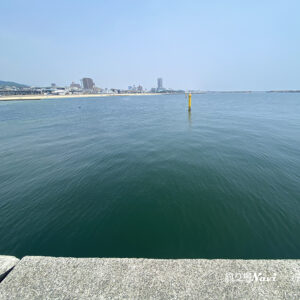 須磨浦漁港（須磨浦漁船だまり）｜釣り場Navi
