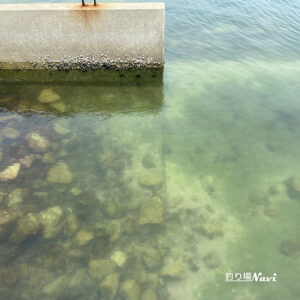 須磨浦漁港（須磨浦漁船だまり）｜釣り場Navi