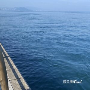 あわじ交流の翼港｜釣り場Navi