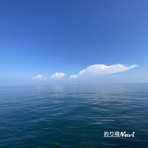 あわじ交流の翼港｜釣り場Navi