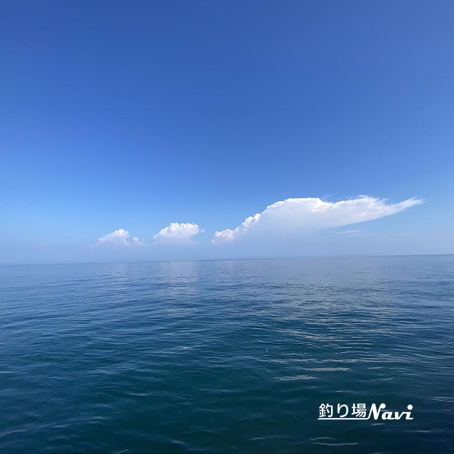 あわじ交流の翼港|釣り場Navi