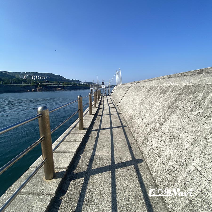 あわじ交流の翼港|釣り場Navi