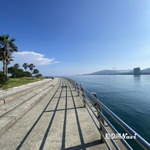 あわじ交流の翼港｜釣り場Navi