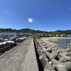淡路島 佐野漁港｜釣り場Navi