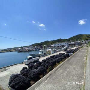 淡路島 佐野漁港｜釣り場Navi