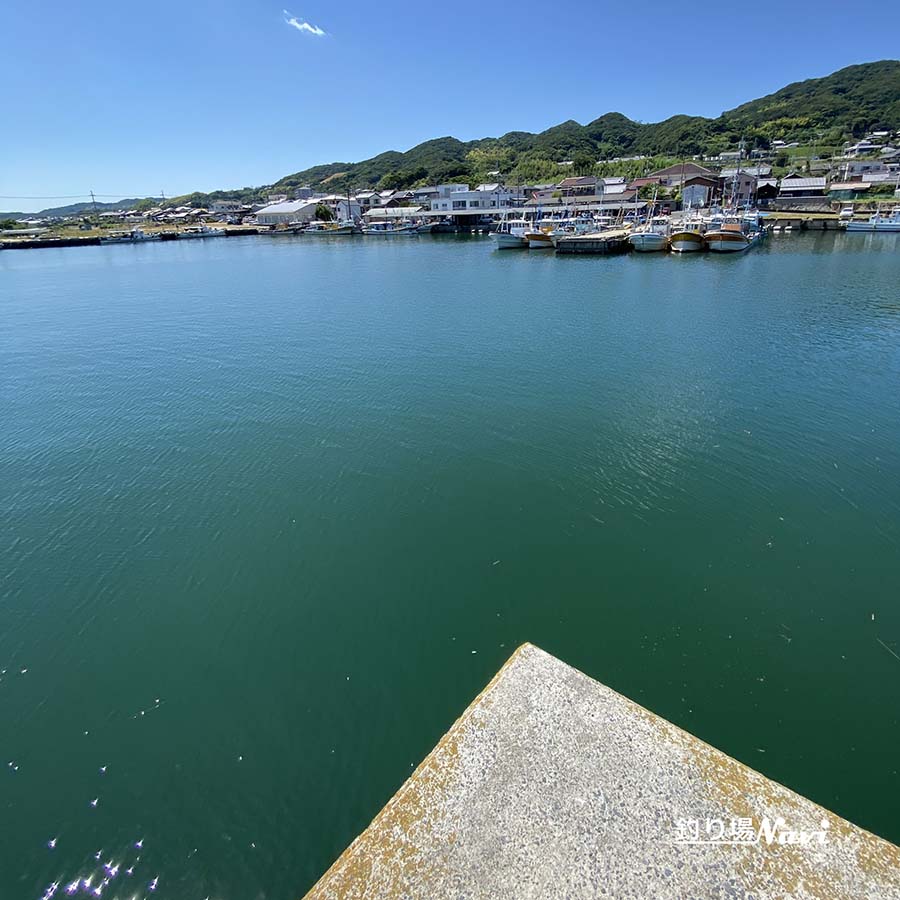 淡路島 佐野漁港|釣り場Navi