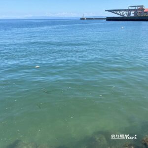 淡路島 佐野漁港｜釣り場Navi