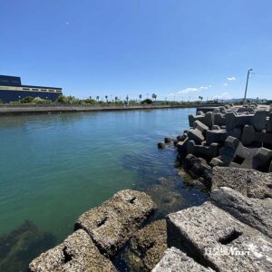 淡路島 佐野漁港｜釣り場Navi