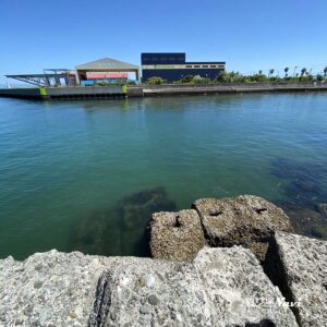 淡路島 佐野漁港｜釣り場Navi