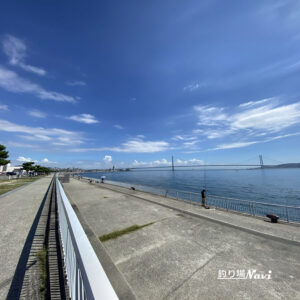 大蔵海岸公園｜釣り場Navi