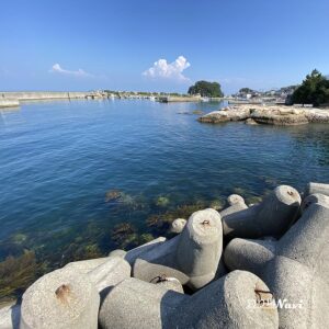 淡路島 岩屋港｜釣り場Navi