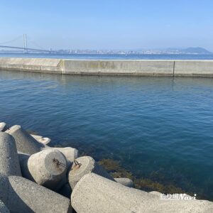 淡路島 岩屋港｜釣り場Navi