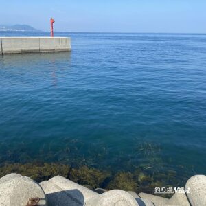 淡路島 岩屋港｜釣り場Navi