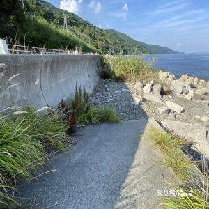 淡路島 灘黒岩｜釣り場Navi