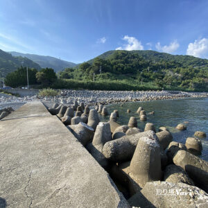 淡路島 灘黒岩｜釣り場Navi