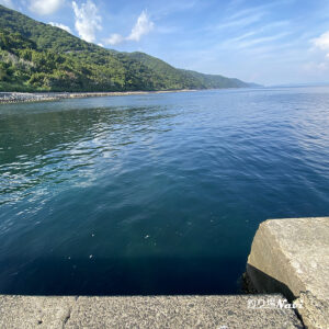 淡路島 灘黒岩｜釣り場Navi