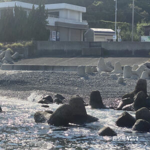 淡路島 灘黒岩｜釣り場Navi