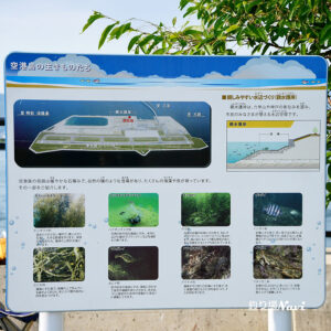 神戸空港 親水護岸｜釣り場Navi