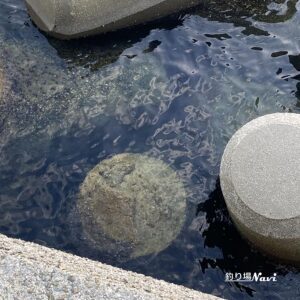 灘港西防波堤｜釣り場Navi