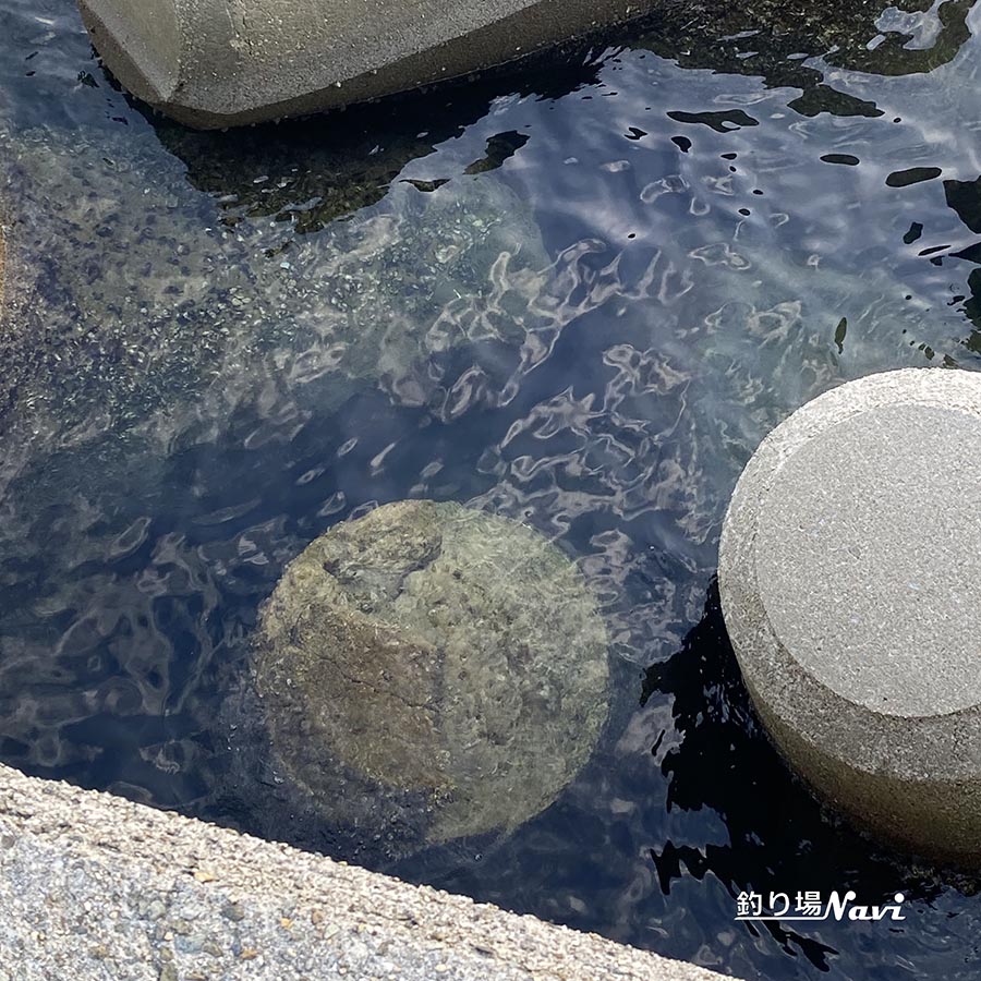 灘港西防波堤|釣り場Navi