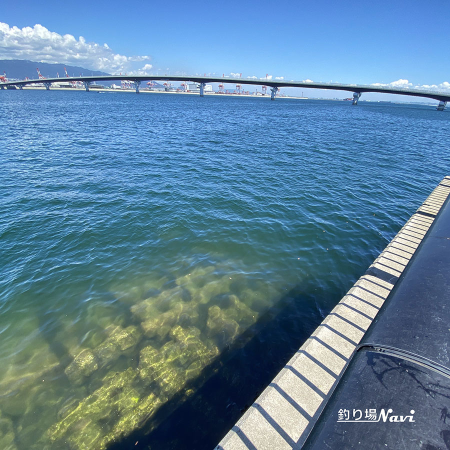 神戸空港 親水護岸｜釣り場Navi