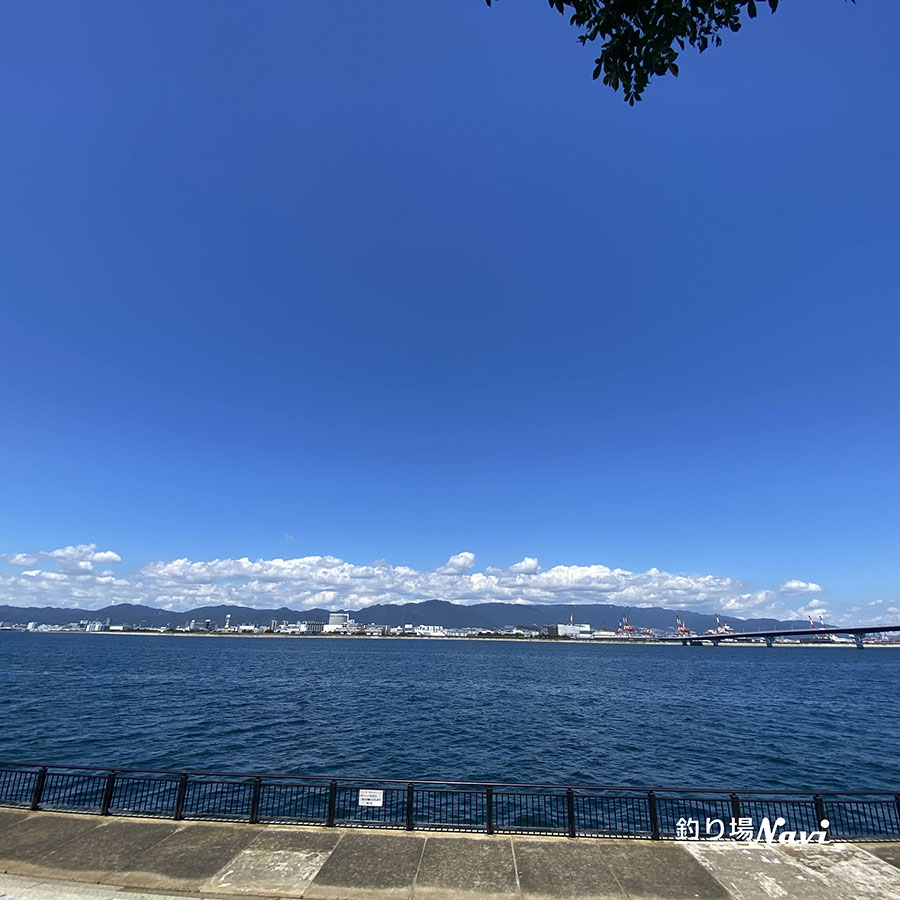 神戸空港 親水護岸｜釣り場Navi