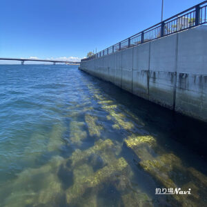神戸空港 親水護岸｜釣り場Navi