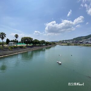 淡路島 佐野よい公園｜釣り場Navi