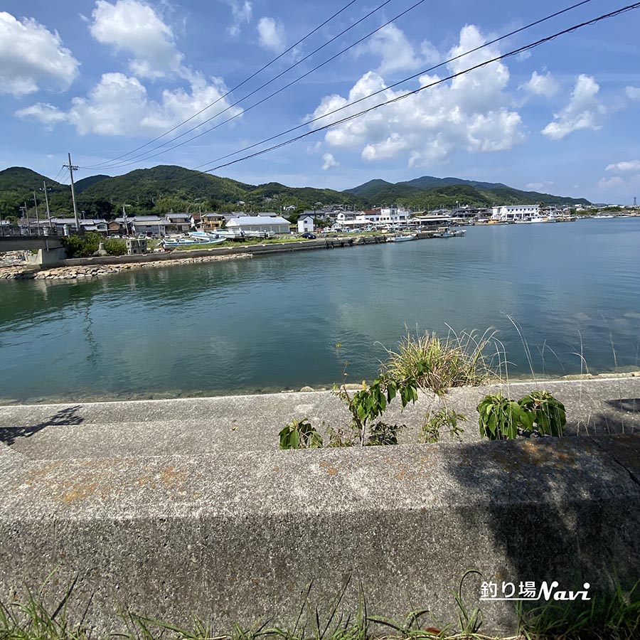淡路島 佐野よい公園|釣り場Navi