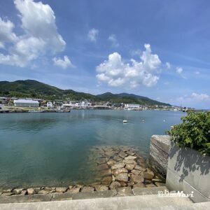 淡路島 佐野よい公園｜釣り場Navi