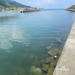 淡路島 佐野よい公園｜釣り場Navi