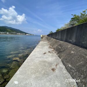 淡路島 佐野よい公園｜釣り場Navi