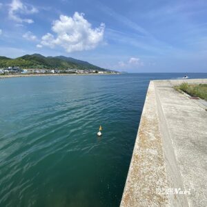 淡路島 佐野よい公園｜釣り場Navi