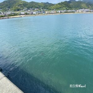 淡路島 佐野よい公園｜釣り場Navi