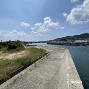 淡路島 佐野よい公園｜釣り場Navi