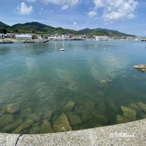 淡路島 佐野よい公園｜釣り場Navi