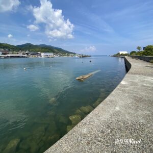 淡路島 佐野よい公園｜釣り場Navi