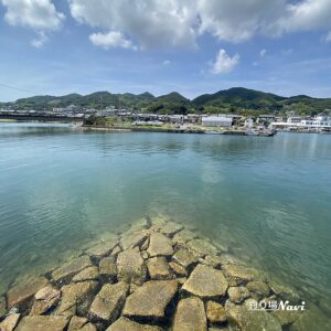 淡路島 佐野よい公園｜釣り場Navi