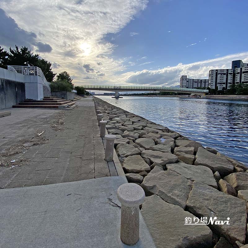 芦屋キャナルパーク 北護岸 東(浜風大橋)|釣り場Navi