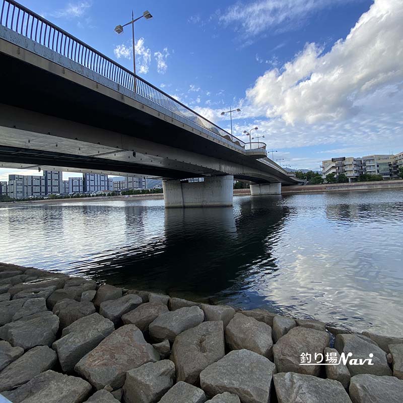 芦屋キャナルパーク 北護岸 東(浜風大橋)|釣り場Navi