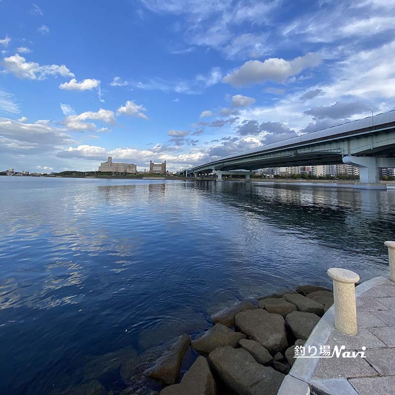 芦屋キャナルパーク 北護岸 東(浜風大橋)|釣り場Navi