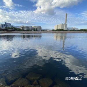 芦屋キャナルパーク 北護岸 東（浜風大橋）｜釣り場Navi