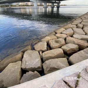 芦屋キャナルパーク 北護岸 東（浜風大橋）｜釣り場Navi