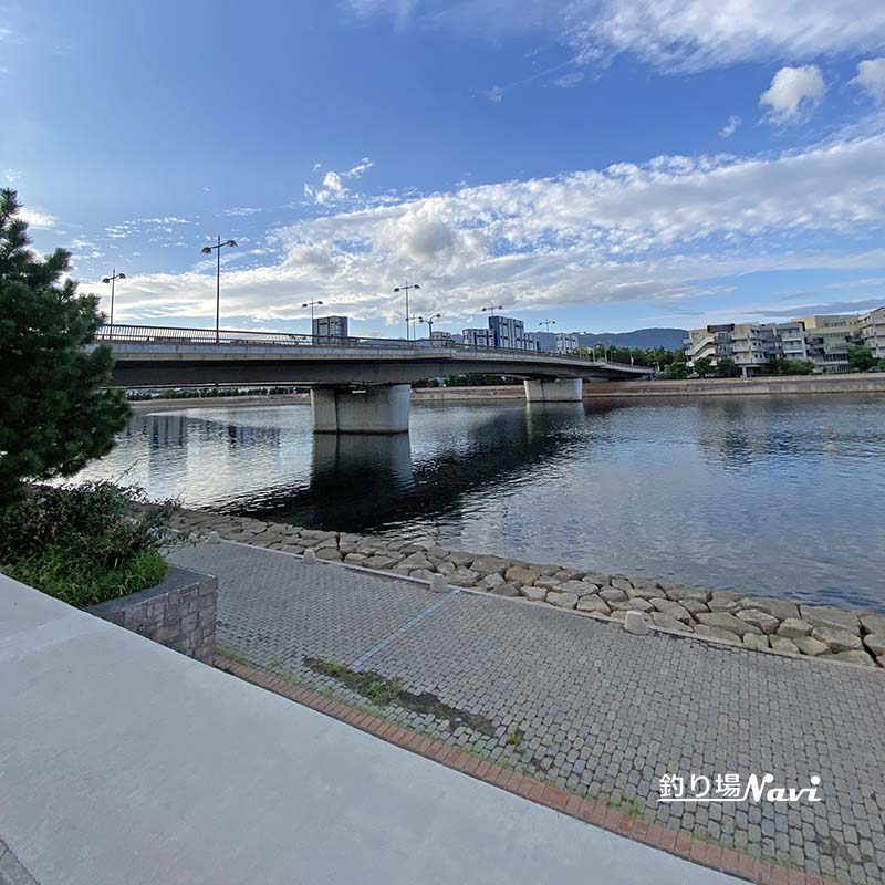 芦屋キャナルパーク 北護岸 東(浜風大橋)|釣り場Navi