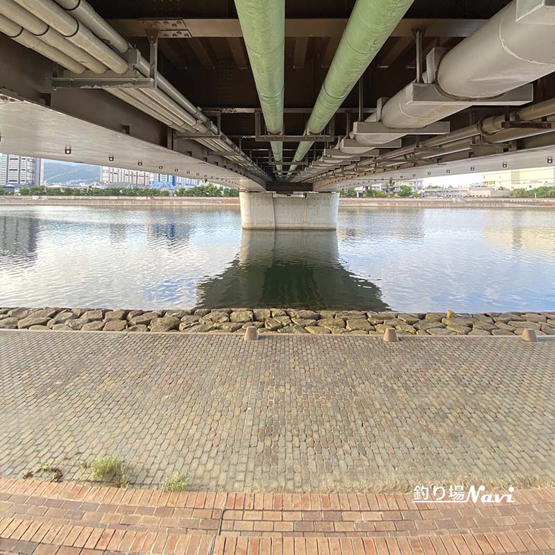 芦屋キャナルパーク 北護岸 東(浜風大橋)|釣り場Navi