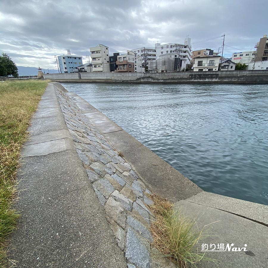 中崎みなと公園前｜釣り場Navi