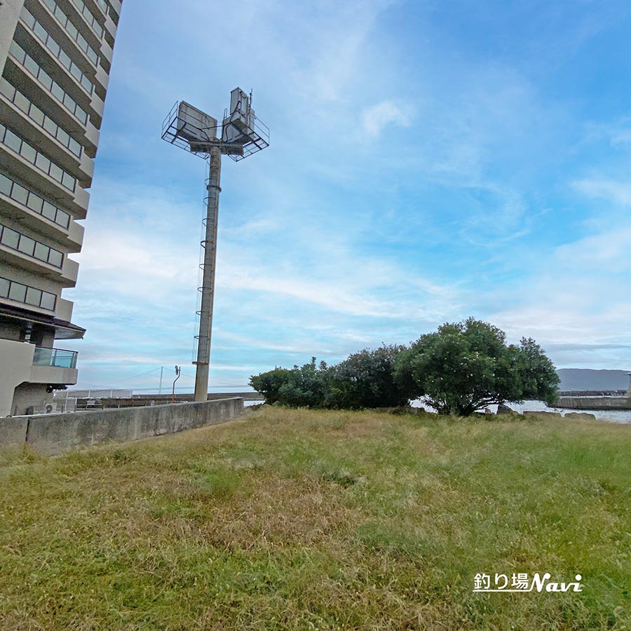 中崎みなと公園前｜釣り場Navi