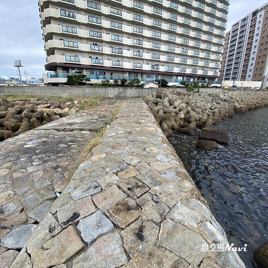 中崎みなと公園前｜釣り場Navi