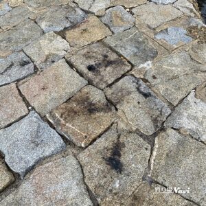 中崎みなと公園前｜釣り場Navi