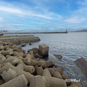 中崎みなと公園前｜釣り場Navi